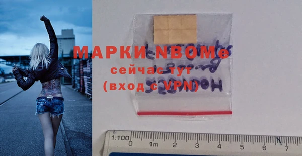 индика Михайловск