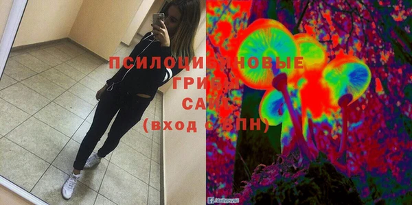 индика Михайловск