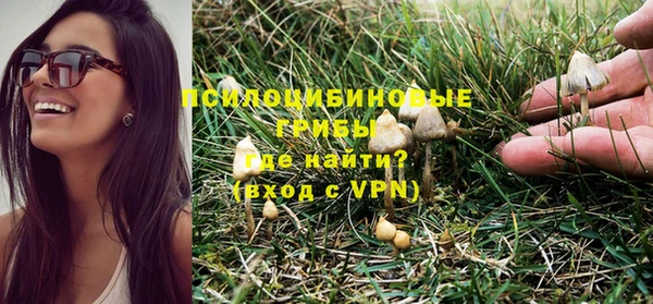 PSILOCYBIN Алексеевка