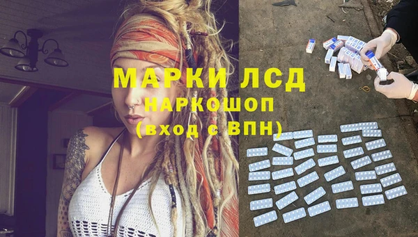 трава Абаза