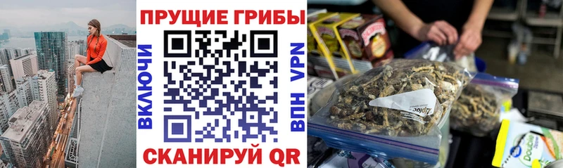 Галлюциногенные грибы ЛСД  закладка  Сыктывкар 